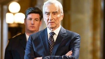 Assistir Lei & Ordem Temporada 22 Episódio 22 Online em HD