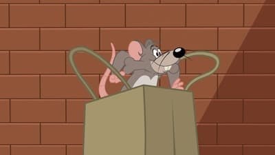 Assistir O Show de Tom e Jerry Temporada 2 Episódio 64 Online em HD