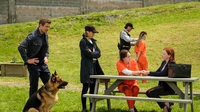 Assistir Hudson & Rex Temporada 5 Episódio 7 Online em HD