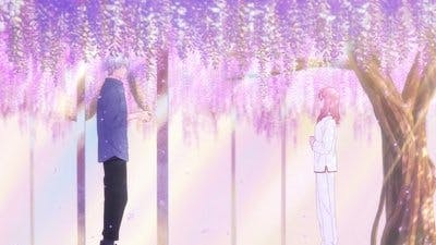 Assistir A Sign of Affection Temporada 1 Episódio 12 Online em HD
