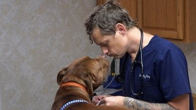 Assistir Clínica Animal com Dr. Pol Temporada 18 Episódio 6 Online em HD