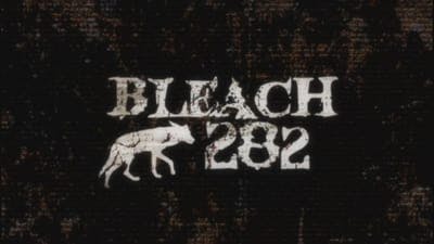 Assistir Bleach Temporada 1 Episódio 282 Online em HD