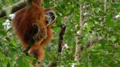 Assistir Os Parques Nacionais Mais Fascinantes do Mundo Temporada 1 Episódio 5 Online em HD