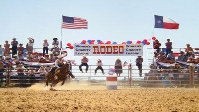Assistir Dallas Temporada 9 Episódio 9 Online em HD