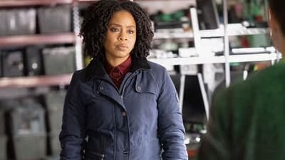 Assistir Law & Order: Crime Organizado Temporada 3 Episódio 15 Online em HD