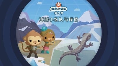 Assistir Octonautas Temporada 6 Episódio 20 Online em HD
