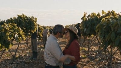 Assistir Rebirth Temporada 1 Episódio 181 Online em HD