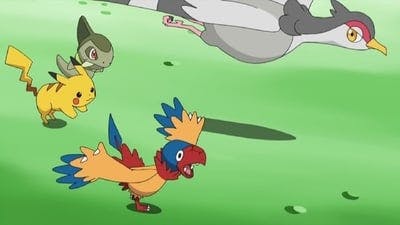 Assistir Pokémon Temporada 14 Episódio 36 Online em HD