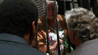 Assistir Lei & Ordem Temporada 15 Episódio 5 Online em HD