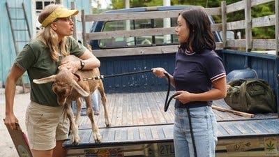 Assistir Moonshine Temporada 1 Episódio 2 Online em HD