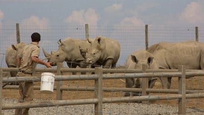 Assistir Os Segredos do Zoológico Temporada 1 Episódio 4 Online em HD