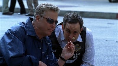 Assistir CSI: Investigação Criminal Temporada 7 Episódio 19 Online em HD