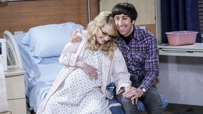 Assistir Big Bang: A Teoria Temporada 10 Episódio 11 Online em HD