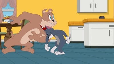 Assistir O Show de Tom e Jerry Temporada 2 Episódio 13 Online em HD