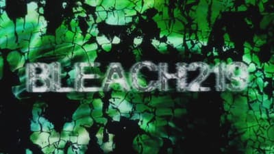 Assistir Bleach Temporada 1 Episódio 219 Online em HD