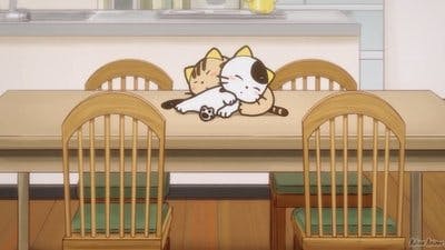 Assistir Uchi Tama?! Uchi no Tama Shirimasen ka? Temporada 1 Episódio 23 Online em HD