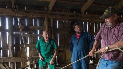 Assistir Clínica Animal com Dr. Pol Temporada 18 Episódio 7 Online em HD