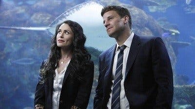 Assistir Ossos Temporada 5 Episódio 18 Online em HD