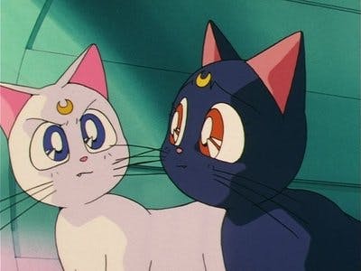 Assistir Sailor Moon Temporada 2 Episódio 33 Online em HD