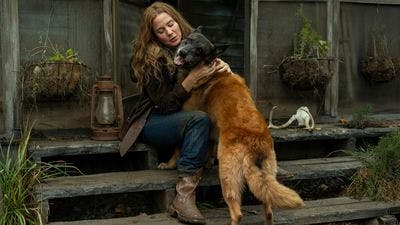 Assistir The Walking Dead Temporada 10 Episódio 18 Online em HD
