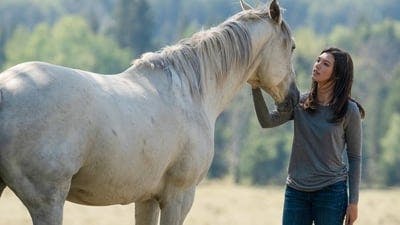 Assistir Heartland Temporada 12 Episódio 10 Online em HD