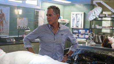 Assistir NCIS: Nova Orleans Temporada 5 Episódio 13 Online em HD