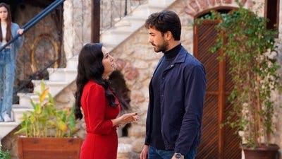 Assistir Coração Ferido Temporada 1 Episódio 22 Online em HD