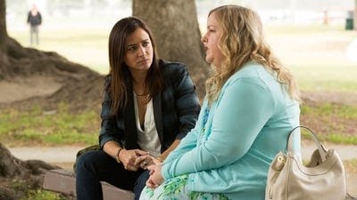 Assistir Better Things Temporada 1 Episódio 7 Online em HD