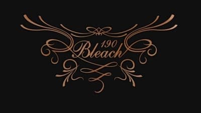 Assistir Bleach Temporada 1 Episódio 190 Online em HD