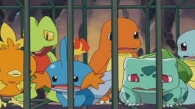 Assistir Pokémon Temporada 7 Episódio 31 Online em HD