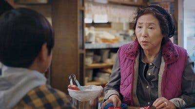 Assistir Para Sempre Camélia Temporada 1 Episódio 33 Online em HD