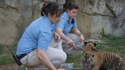 Assistir Os Segredos do Zoológico Temporada 1 Episódio 1 Online em HD