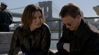 Assistir CSI: Nova York Temporada 7 Episódio 9 Online em HD