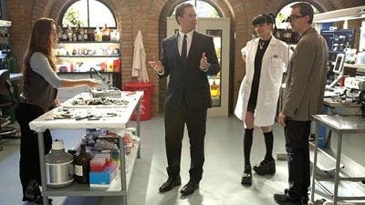 Assistir NCIS: Investigação Naval Temporada 8 Episódio 19 Online em HD