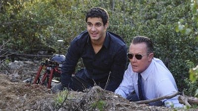 Assistir Scorpion: Serviço de Inteligência Temporada 2 Episódio 17 Online em HD