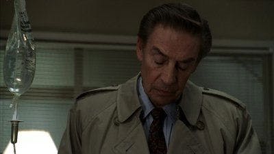 Assistir Lei & Ordem Temporada 14 Episódio 22 Online em HD