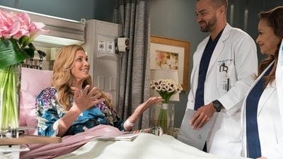 Assistir Grey’s Anatomy Temporada 14 Episódio 16 Online em HD