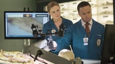 Assistir Bones Temporada 9 Episódio 12 Online em HD