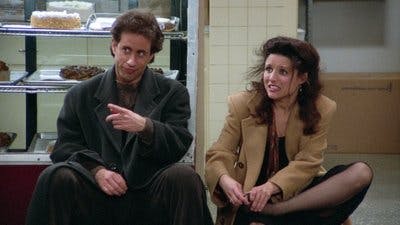 Assistir Seinfeld Temporada 5 Episódio 13 Online em HD