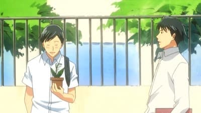 Assistir Nodame Cantabile Temporada 1 Episódio 17 Online em HD