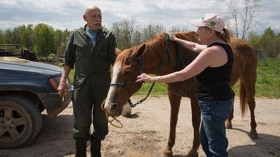Assistir Clínica Animal com Dr. Pol Temporada 12 Episódio 8 Online em HD