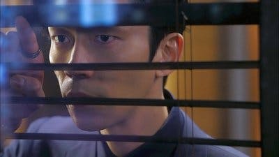 Assistir Meu Amor das Estrelas Temporada 1 Episódio 13 Online em HD