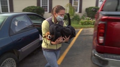 Assistir Clínica Animal com Dr. Pol Temporada 19 Episódio 1 Online em HD