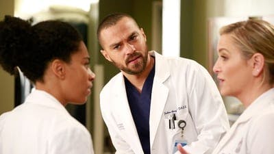 Assistir Grey’s Anatomy Temporada 13 Episódio 12 Online em HD