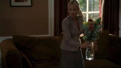 Assistir West Wing: Nos Bastidores do Poder Temporada 7 Episódio 10 Online em HD