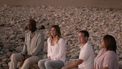 Assistir Grey’s Anatomy Temporada 17 Episódio 4 Online em HD