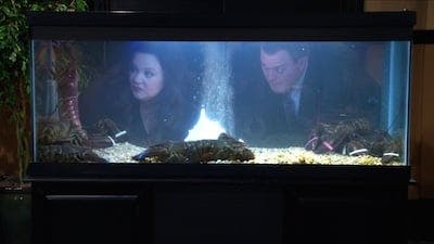 Assistir Mike & Molly Temporada 5 Episódio 21 Online em HD