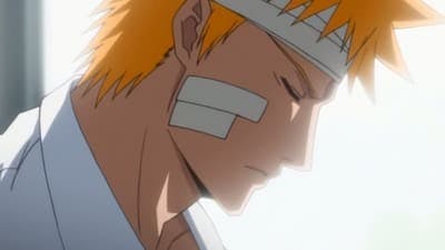 Assistir Bleach Temporada 1 Episódio 115 Online em HD