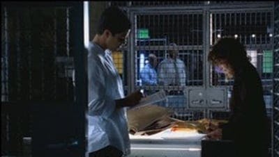 Assistir CSI: Miami Temporada 1 Episódio 7 Online em HD