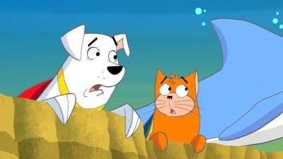 Assistir Krypto, o Supercão Temporada 1 Episódio 24 Online em HD